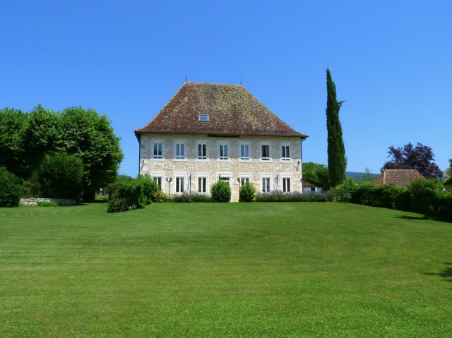 Photo 11