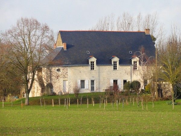 Le rateau