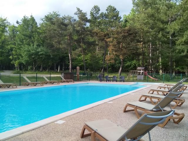 Piscine nature